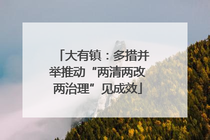 大有镇：多措并举推动“两清两改两治理”见成效